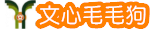 文心毛毛狗
